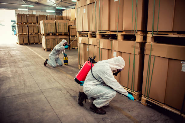 Wildlife Control Services in Hahnville, LA