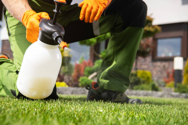 Reliable Hahnville, LA Pest Control Solutions