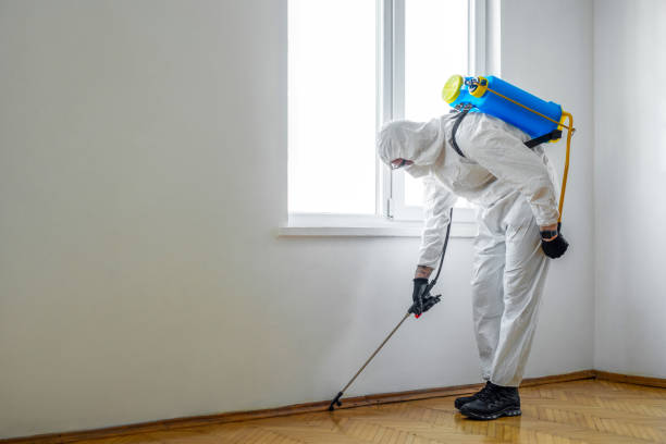 Best Pest Control Treatment  in Hahnville, LA