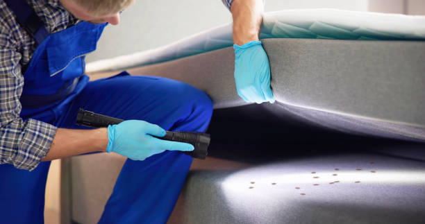 Best Pest Prevention Services  in Hahnville, LA