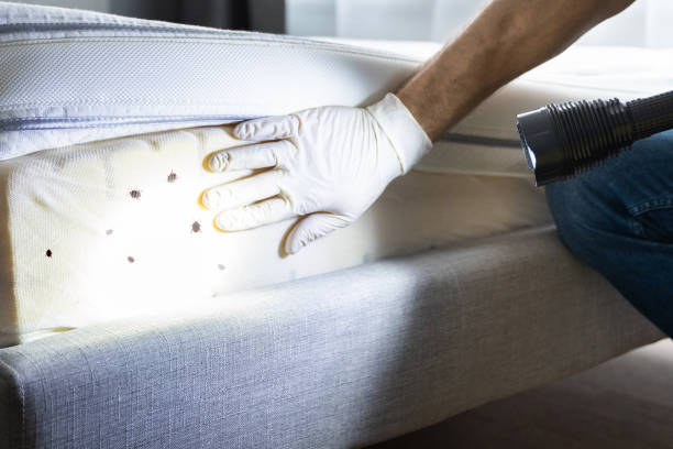 Best Exterminator Services  in Hahnville, LA
