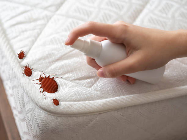 Flea Control Services in Hahnville, LA