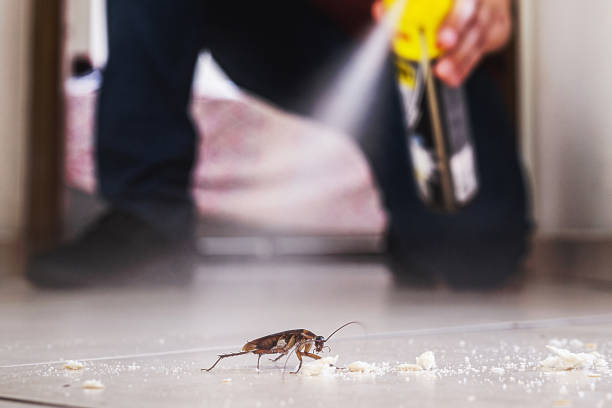 Best Rodent Control Near Me  in Hahnville, LA