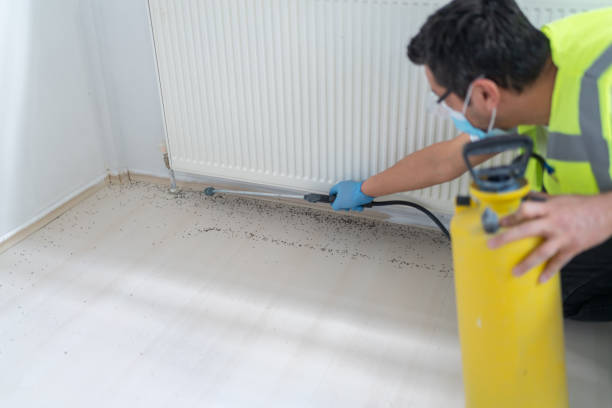 Pest Control for Restaurants in Hahnville, LA