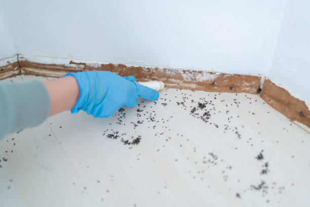 Best Pest Control for Businesses  in Hahnville, LA