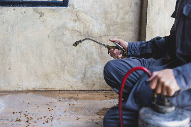 Best Emergency Pest Control  in Hahnville, LA